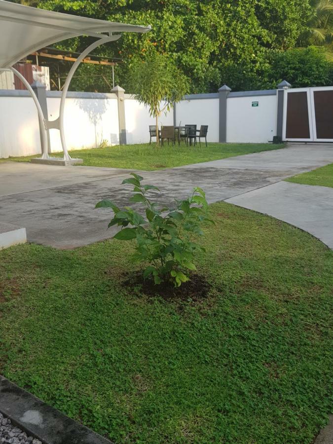 Maison Cattleya Selfcatering Apartment Anse Royale Esterno foto